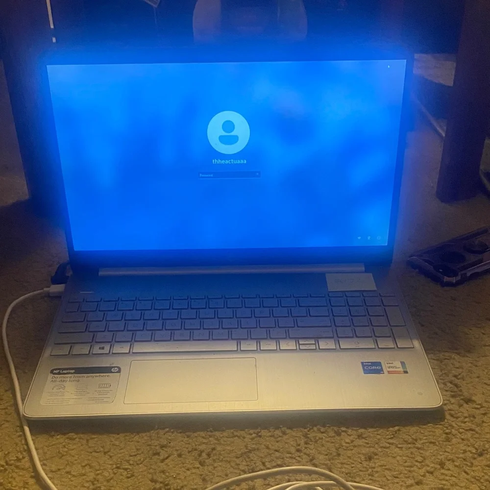 HP Silver Laptop with Blue Screen